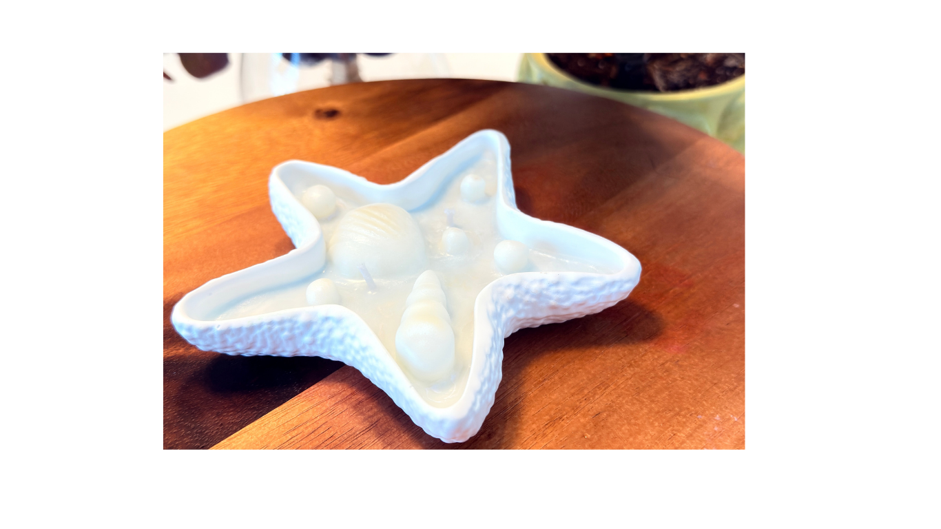 Lueora Starfish Candle In Ceramic Vessel